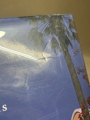 The Beverly Hills Hotel & Bungalows The First 100 Years Robert S. Anderson Book