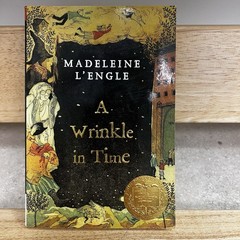 A Wrinkle in Time by Madeleine L’Engle 2007 Paperback