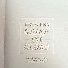 The Daily Grace Co Between Grief and Glory Bible Study Lamentations PB 2020