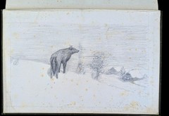 4th Annual Report of the Bureau of the American Ethnology 1882-83