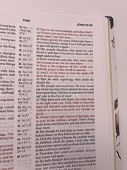KJV Women’s Study Bible Red Letter Cross Reference Floral Hardcover King James