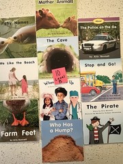 60 RR Books F&P Text Level decodable Leveled (A-F) Readers Lot, Paperback