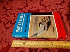 Water-Birds With Webbed Feet, Paul Geroudet, Blandford Press, HC / DJ, 1965 1st