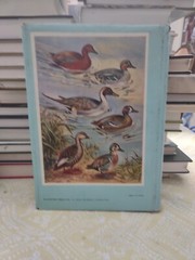ENCYCLOPAEDIA OF AVICULTURE, (V. 1) By Abram Rutgers & K A Norris – Hardcover