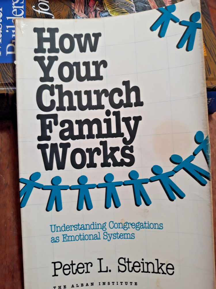 How Your Church Family Works by Peter L. Steinke (1993, Trade Paperback)