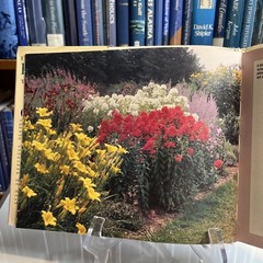 Essential Gardening Ser.: Essential Perennials by Derek Fell (1989, Hardcover)