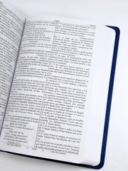 Escrituras Sefer Davar Biblia Edición Español Piel Azul Salmos Español Y Hebreo