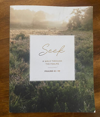Seek | 6 Week Bible Study | A Walk Through Psalms 61-90 Clean Pages
