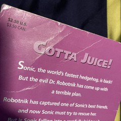 90s SEGA Sonic The Hedgehog 2 Book Lot TROLL – Robotniks Revenge Fortress Fear