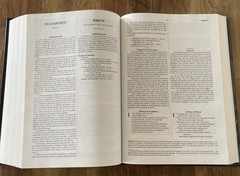 La Biblia – The Bible Hard Cover – Con Deuterocanonicos / With Deuter Acceptable
