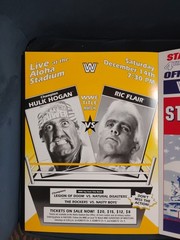 WWE: THE ULTIMATE POSTER COLLECTION (2015) Missing 1 Page (2 Posters)