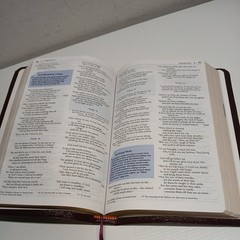 The Student Bible New International Version 1996 Edition Burgundy Bonded Leather