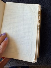 KJV Holy Bible – Holman Jewel Reference – French Morocco Leather 1942