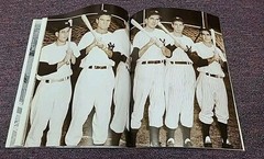 Yankee Stadium Drama, Glamor & Glory Ray Robinson 2004 Trade Paperback 184 Pages