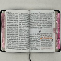 NRSV New Revised Standard Version Premium Bible Black Bonded Leather Abingdon