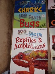 100 Facts Large Picture Book Lot 6 Miles Kelly Ages 7-11 Grades 1-5 Homeschool