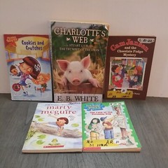 Lot of 10 Mixed Random Children’s Books and Young Adult Novels, Classic Stories