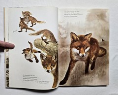 Rien Poortvliet: … und jeder Fuchs hat seinen Bau, Kosmos 2001, HC