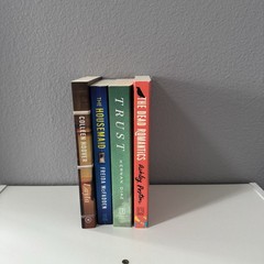 Book Bundle (4) – Popular Reads Layla, The Housemaid, Trust, The Dead
