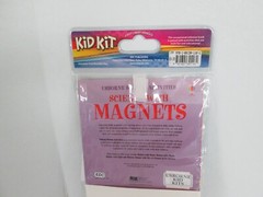 Kid Kit Science with Magnets EDC Publishing