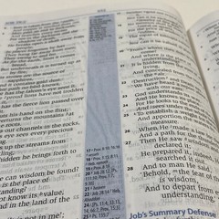 Andrews Study Bible Black Premium Fine Leather New King James Version Leather