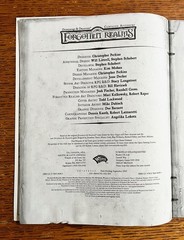 Dungeons and Dragons Forgotten Realms SONS OF GRUUMSH 4th Level Adventure Book