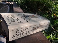 Gray’s Anatomy: The Classic Collector’s Edition~Henry Gray~VINTAGE 1977 HC/DJ