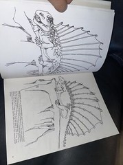 Dinosaur Coloring Book (Dover Nature Coloring Book) by Anthony Rao 90% Uncolored