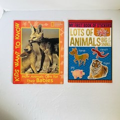 Animal Science Nature Book Lot 8 Classroom Homeschool Hibernation Baby STEM