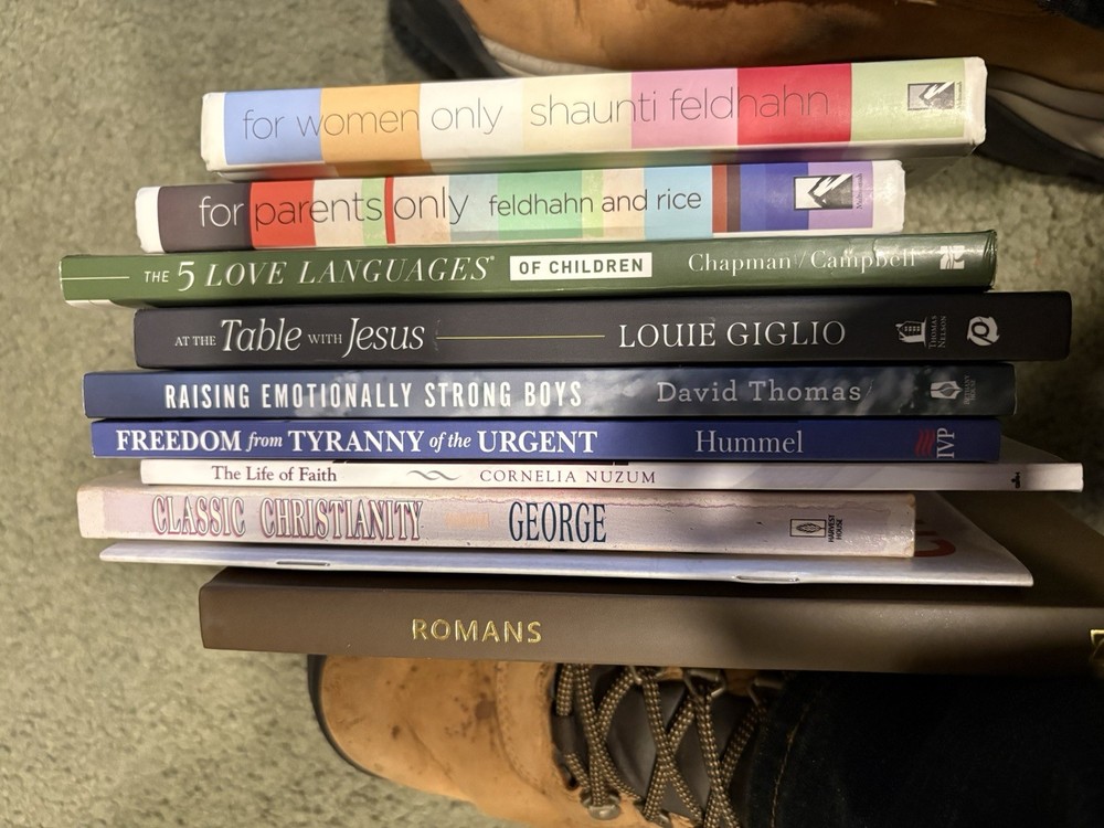9 Books Christian Parenting Faith Louie Giglio Chapman Feldhahn Romans