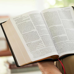 RSV2CE, Thinline Large Print Catholic Bible, Brown Leathersoft, Comfort Print