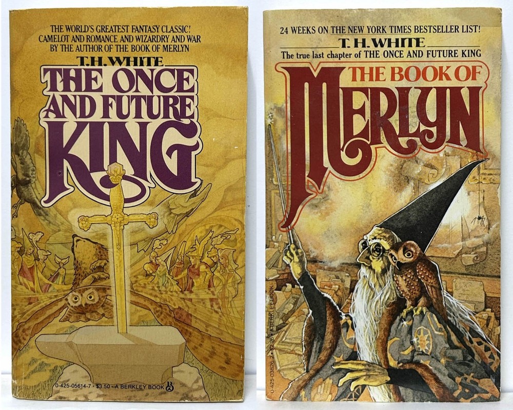T.H. White ONCE & FUTURE KING, BOOK OF MERLYN lot of 2 mm paperback