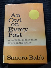 An Owl on Every Post By Sanora Babb RARE 1st Edition HC DJ 1970 Great Condition