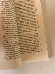 2 Paperbacks By Different Authors
