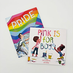 LGBTQ Childrens Books PRIDE Harvey Milk Pink Is For Boys Hardcover Book Lot