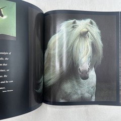 SIGNED Unicorns I Have Known Robert Vavra Hardcover wtih Dust Jacket 1983 HCDJ