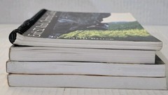 Lot Of 4 Pacific Northwest Rock Climbing Books – Oregon Washington Idaho