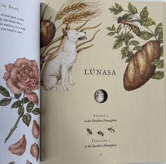 The Wheel of the Year: An Illustrated Guide to Nature’s Rhythms HC