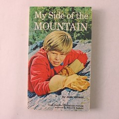 My Side of the Mountain Jean George Scholastic Inc Paperback