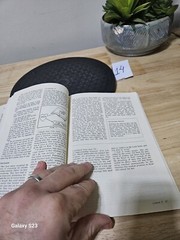 Words To The Wise Bible Knowledge 1976 Song Of Solomon Bible Study