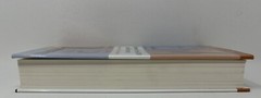 EMDR Eye Movement Desensitization and Reprocessing 2nd Ed. by F. Shapiro – HC/DJ