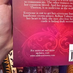 Direbound Out Of Print OOP Indie by Sable Sorensen RARE with Signed Bookplate
