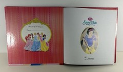 Lot of 9 Disney Princess Books: 1, 2, 3, 6, 7, 9, 10, 11, 12, Illustrated HCs