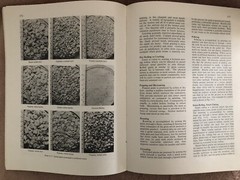 Livestock Feeds and Feeding – 1984 Paperback