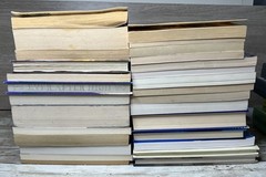Lot of 28 Grade 3-6 Chapter Books Novels 14lbs / 39 Clues, ECHO , School of Fear