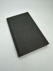 A Flight of Lies Gavin Scott St Martin’s Press Hardcover w/ Dust Jacket 1980 HTF