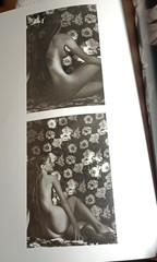 Bruno Bisang Photographs. Hardcover Edition (c)2000. Very Good+ Cond.