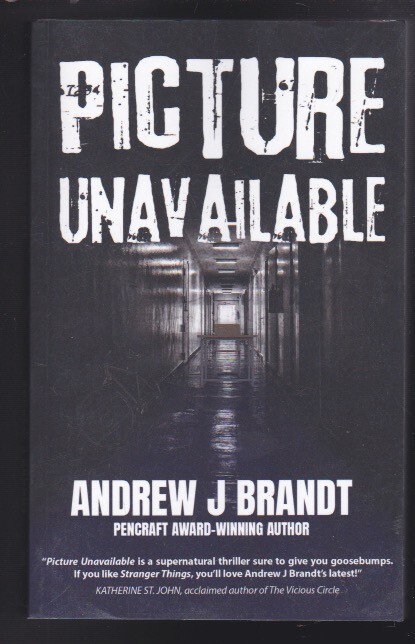Picture Unavailable:A Thriller Paperback by Andrew J. Brandt 2022 LN