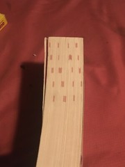 Europe by Rail: The Definitive Guide for Independent Travellers Paperback Bin 16