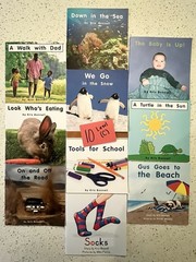 60 RR Books F&P Text Level decodable Leveled (A-F) Readers Lot, Paperback